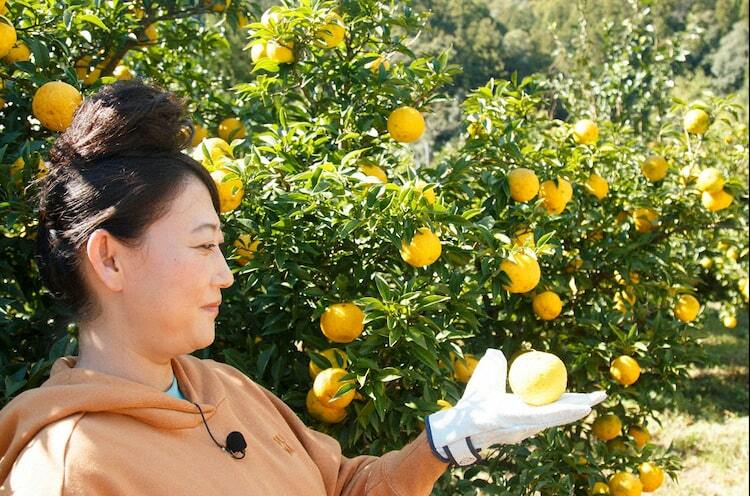 友近、香り高い柚子の味に唸る ぴあエンタメ情報