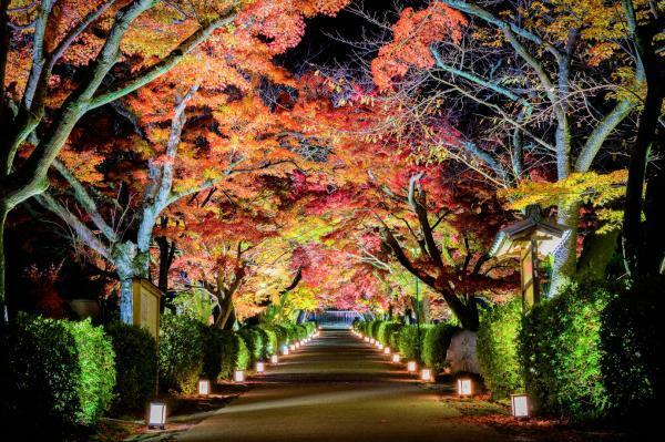 西教寺