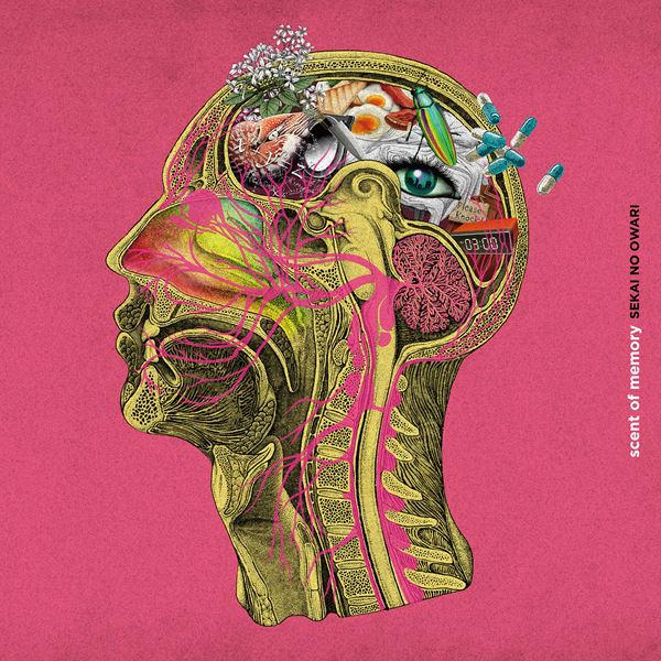 /shared/materials/5a1272aa-81ba-4820-95f1-91db116b30a2/thumbnail