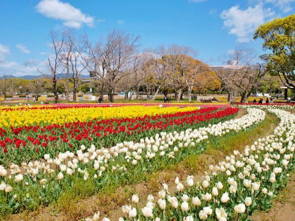 提供：万博記念公園マネジメント・パートナーズ