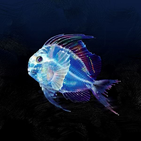 /shared/materials/5c153964-acfb-4a11-a63e-ee5ee1923b33/thumbnail