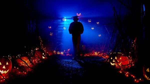 (C)2021 Digital Thunderdome LLC