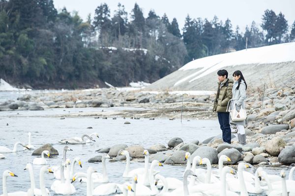 (C)2017「ミッドナイト・バス」ストラーダフィルムズ/新潟日報社