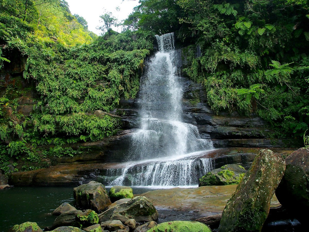 カーラヌカン・画像・写真 ぴあ映画