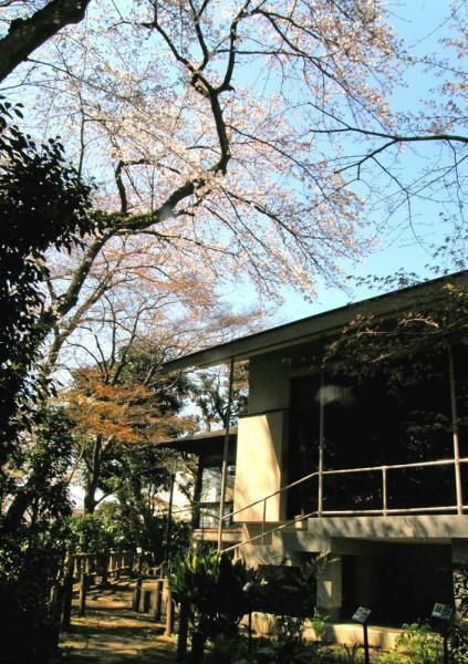提供：調布市武者小路実篤記念館