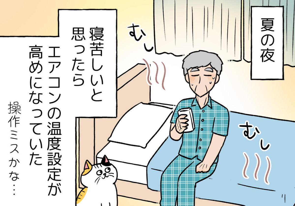 続・熟年離婚は幸せか-50代元夫婦の行く末- #番外編その1】真夏の夜の 