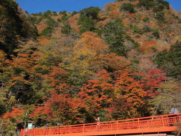 提供：梅ヶ島温泉観光組合