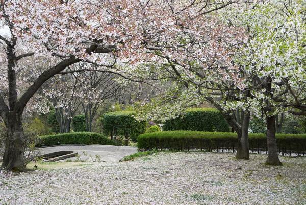 （c）西宮市北山緑化植物園