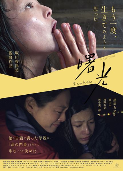 (C)スーパーサウルス