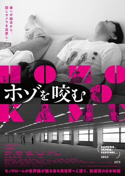 (c)2023 second cocoon