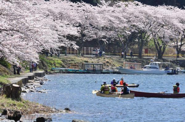 提供：公益社団法人びわ湖高島観光協会