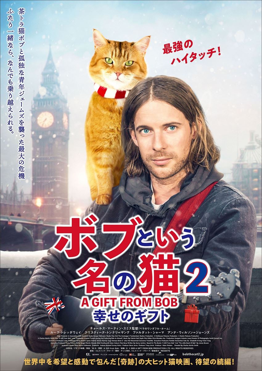 北海道 T シャツ おしゃれ ギフト [DVD] : ケイト·ブラン