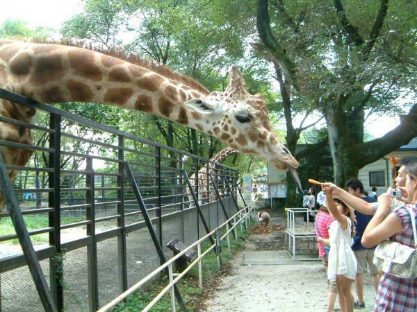 提供：宇都宮動物園