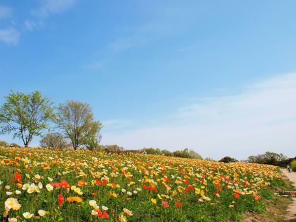 提供：万博記念公園マネジメント・パートナーズ