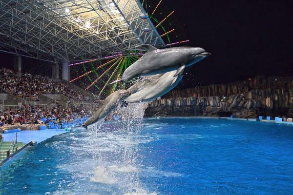 提供：名古屋港水族館