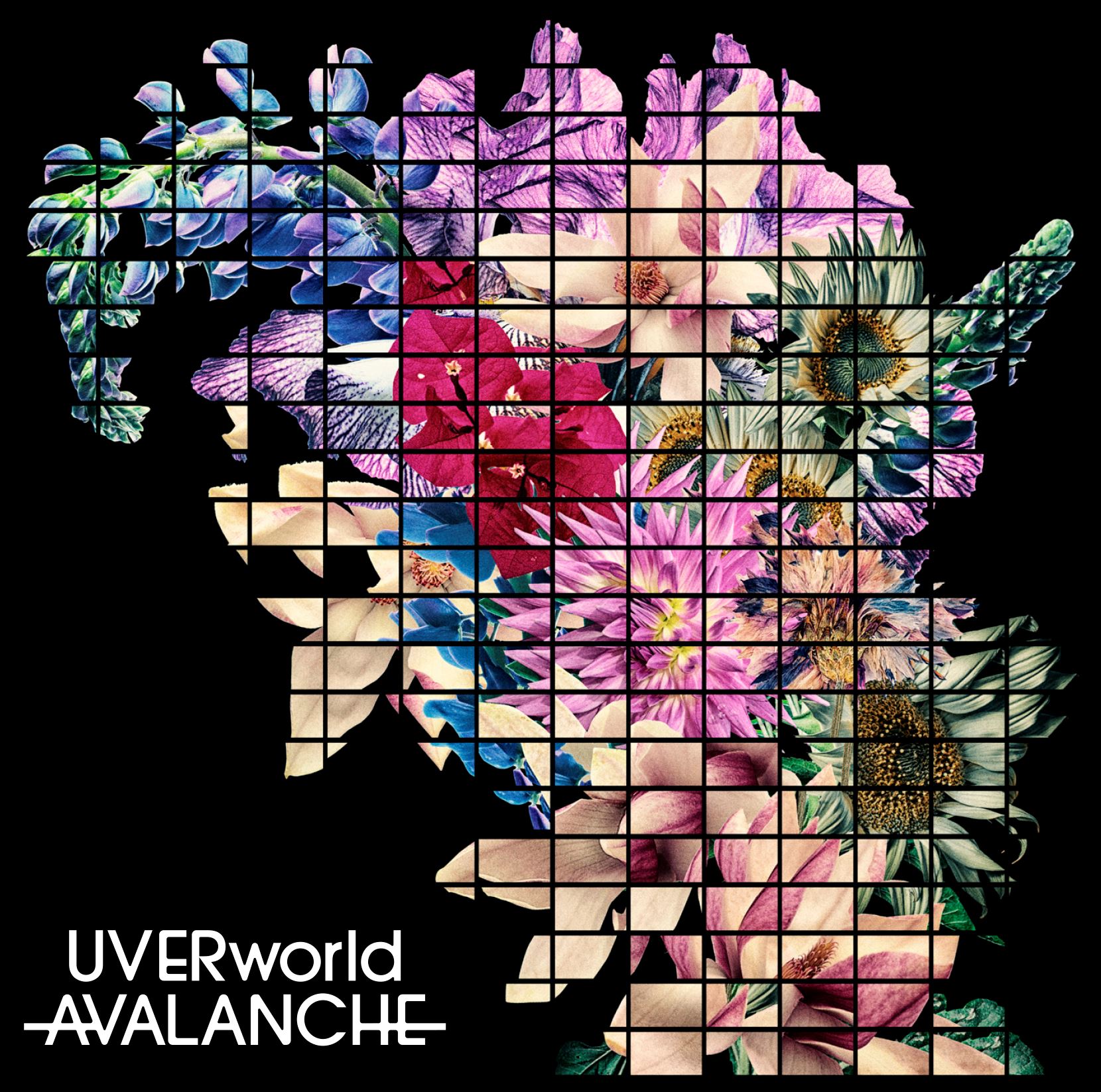 UVERworld『AVALANCHE』初回生産限定盤ジャケット