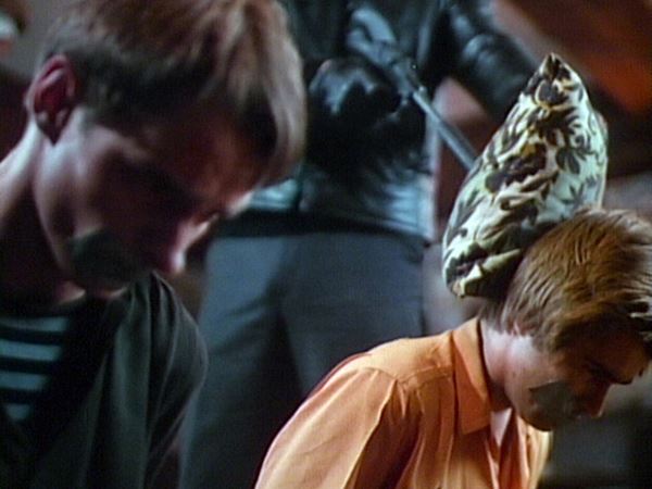 (C)1982 SALTER PRODUCTIONS LIMITED.