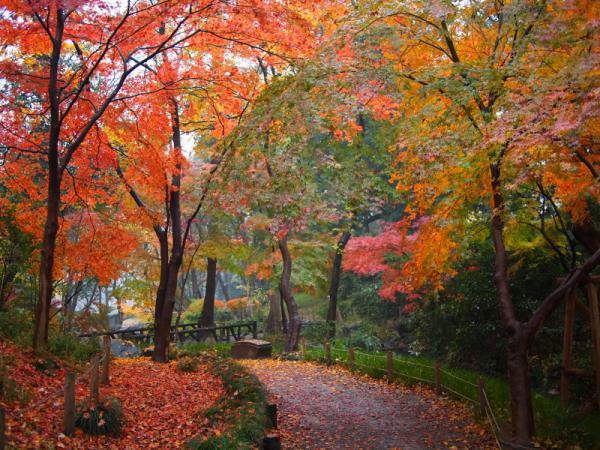 （c）有栖川宮記念公園