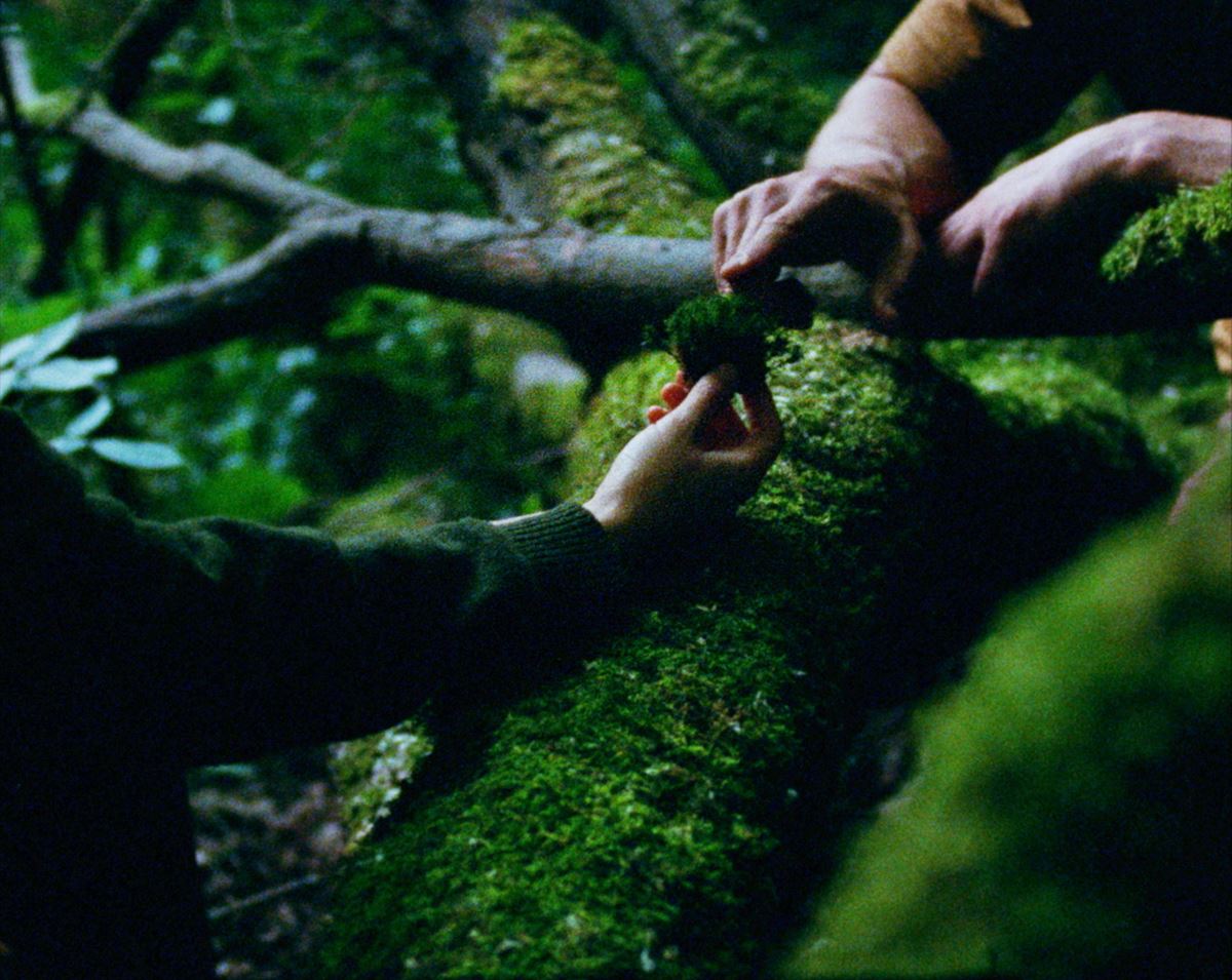 ベルリン、カンヌで注目を集めるバス・ドゥヴォス監督最新作『Here』予告編が公開 の画像・写真 ぴあ映画