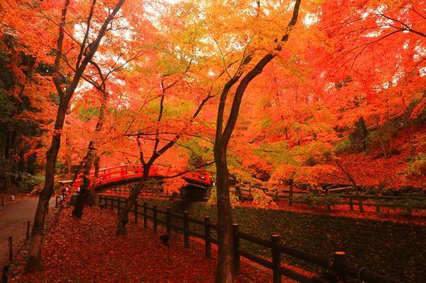 提供：北野天満宮