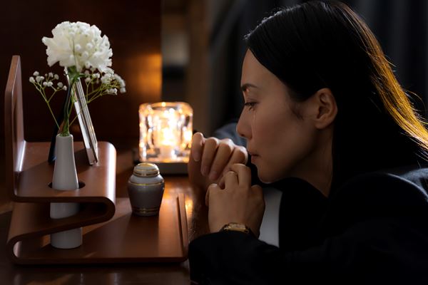 /shared/materials/77ff3804-ee6e-4d33-9869-feb92cc1e7b3/thumbnail