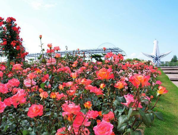 提供：万博記念公園マネジメント・パートナーズ