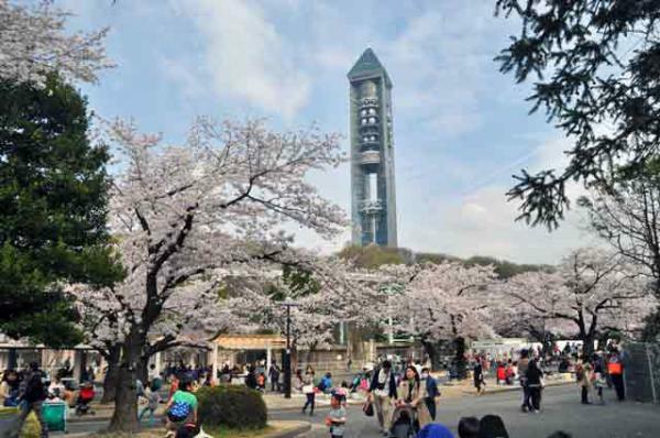 東山動植物園 春まつり ぴあエンタメ情報