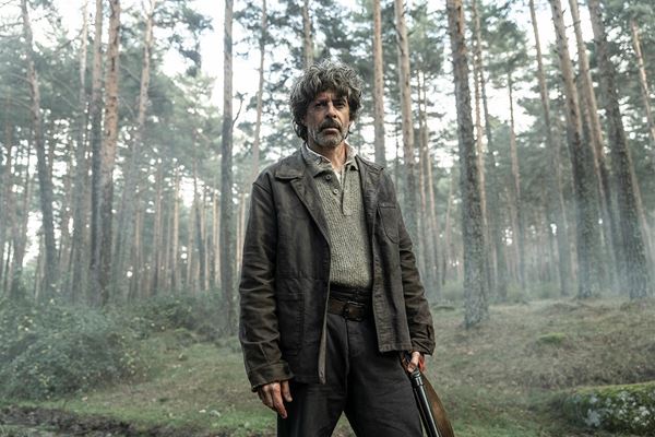 (C)2025 Stalwart Productions LLC.