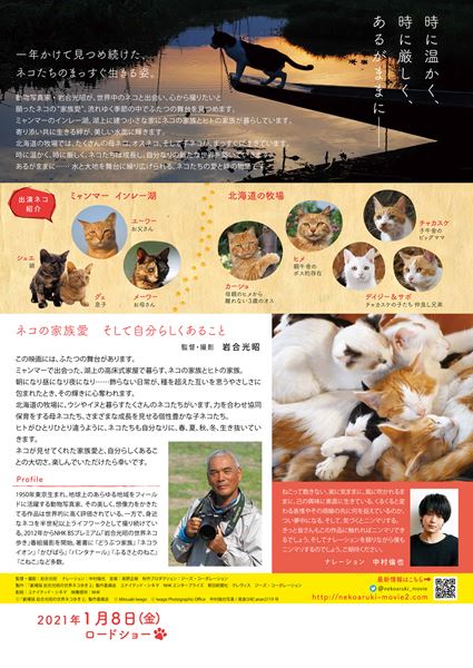 (C)「劇場版　岩合光昭の世界ネコ歩き2」製作委員会　(C)Mitsuaki Iwago　(C) Iwago Photographic Office