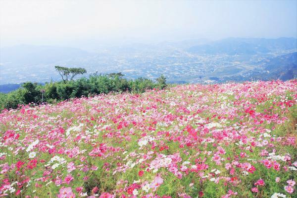 提供：有田川町役場