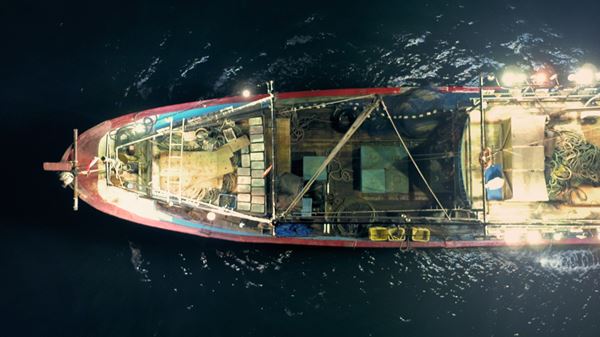 (C)Vulcan Productions, Inc. and Seahorse Productions, LLC