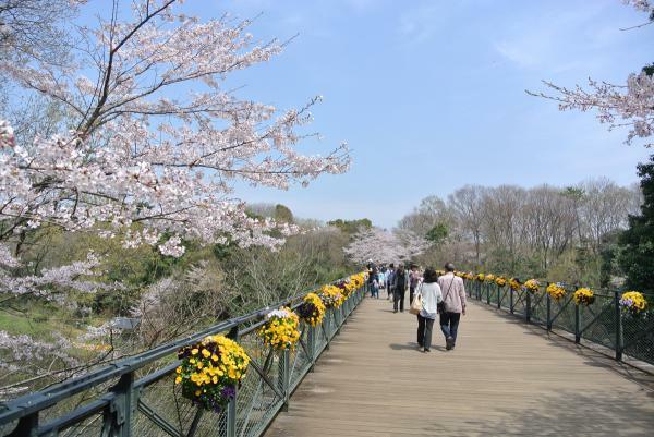 （c）ふなばしアンデルセン公園