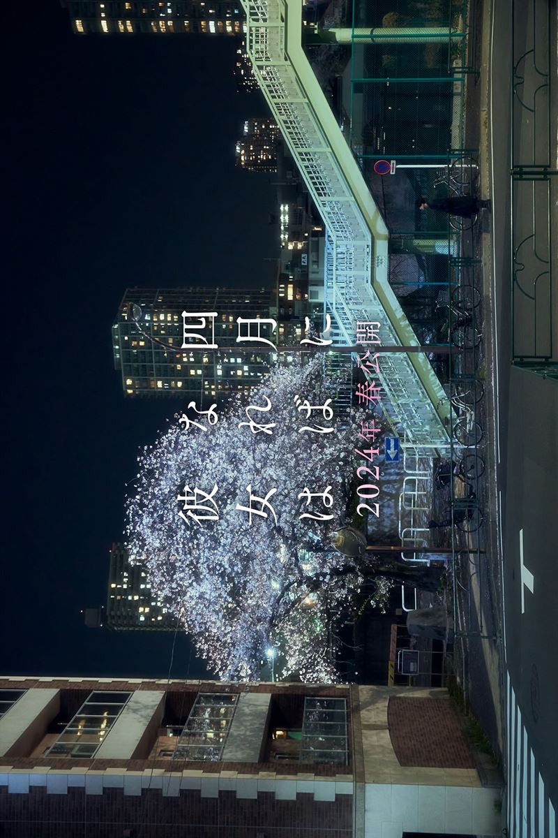 四月になれば彼女は・画像・写真 ぴあ映画