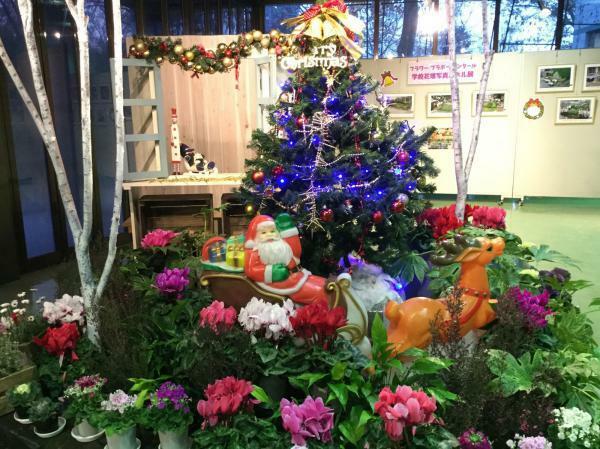 荒子川公園クリスマス展 ぴあエンタメ情報