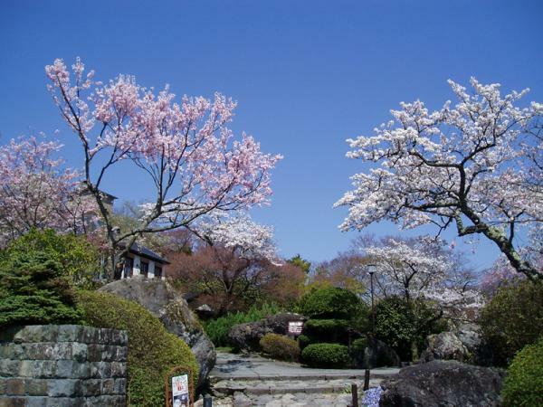 提供：箱根登山鉄道株式会社