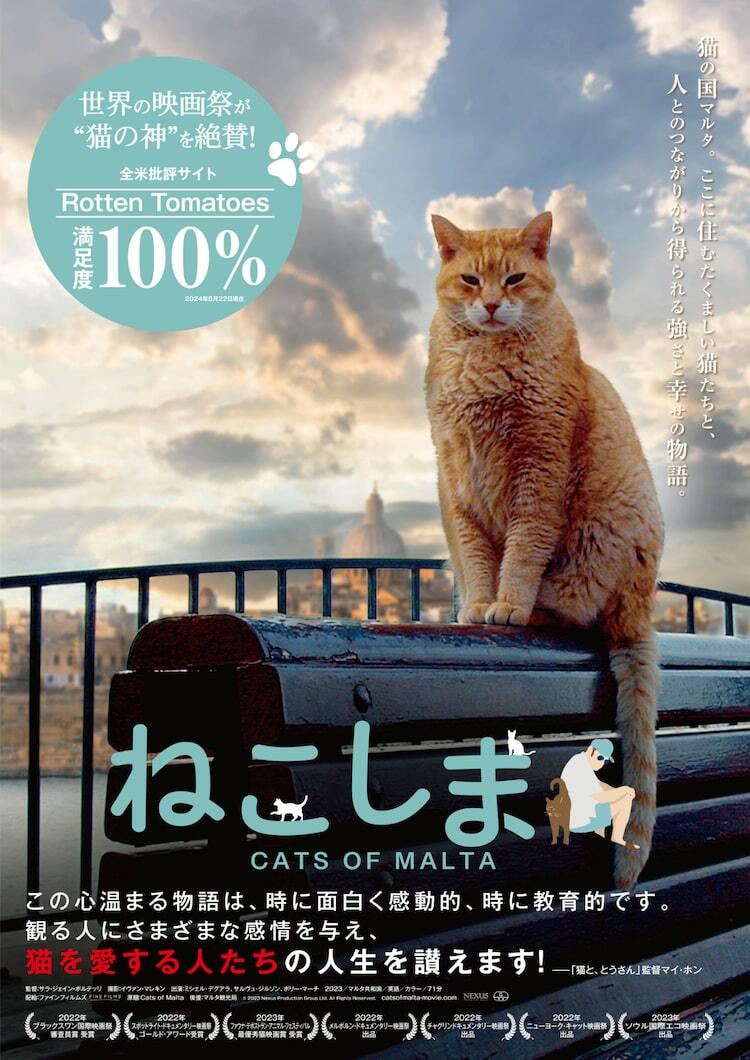 マルタ 猫