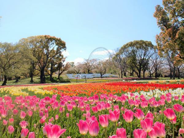 提供：万博記念公園マネジメント・パートナーズ