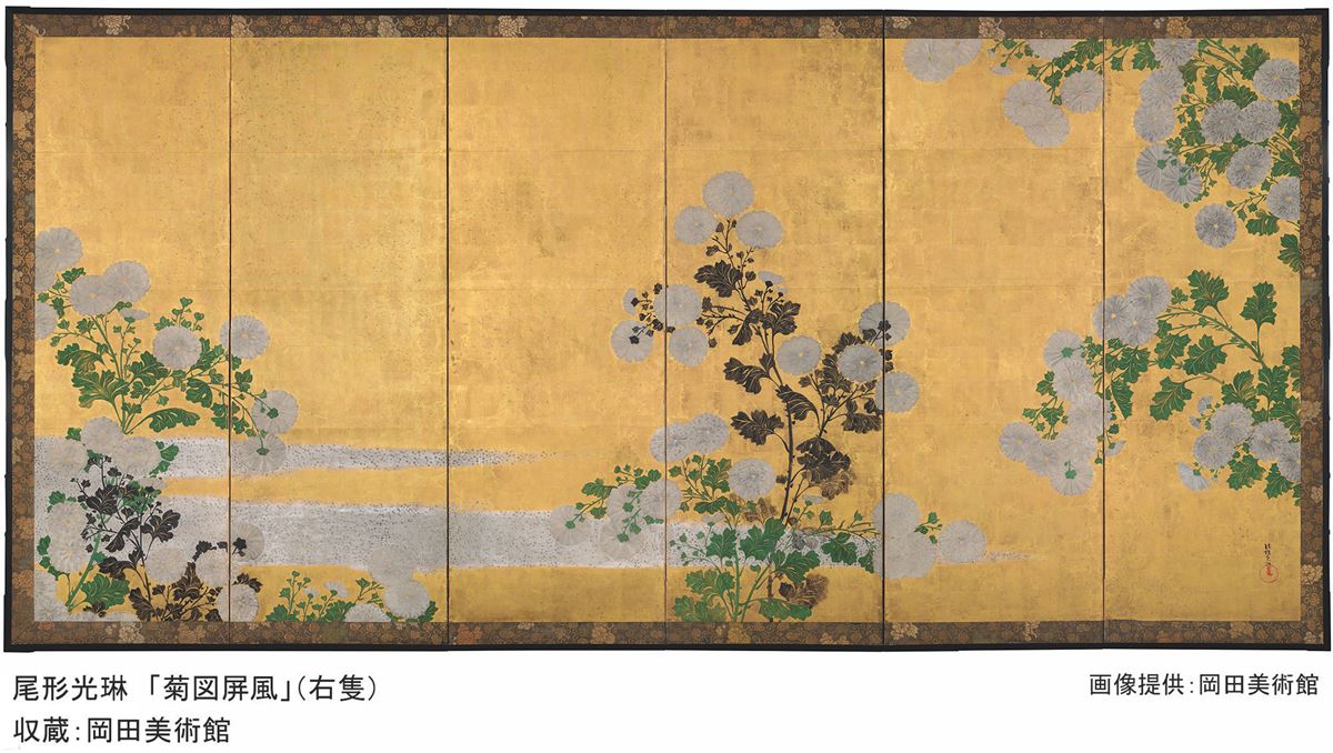 尾形光琳「菊図屏風」（右隻） 収蔵：岡田美術館