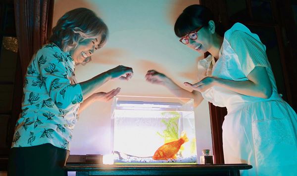 (C)2019 株式会社旦々舎