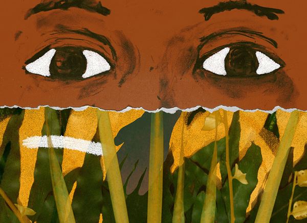 (C)Cine Chani / Historias de Bibi / Guasabara Cine