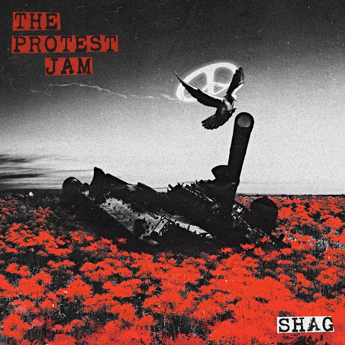 SHAG 1stアルバム『THE PROTEST JAM』