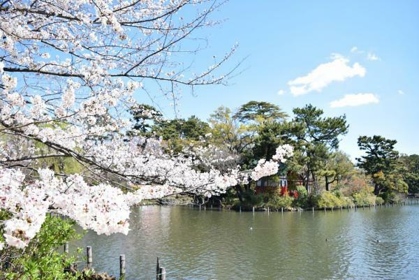 提供：大田区