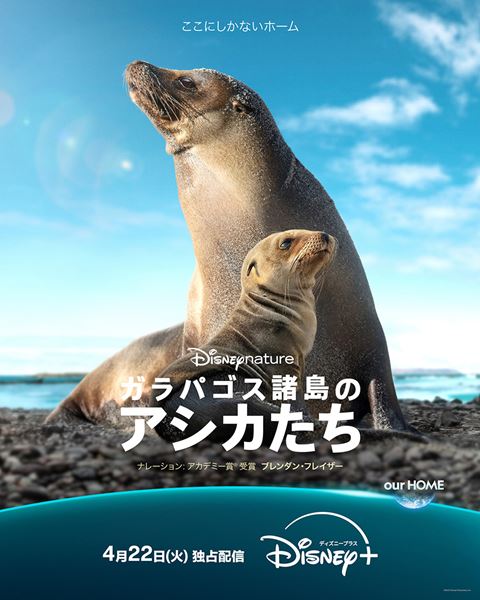 (C)2025 Disney Enterprises, Inc. All Rights Reserved.