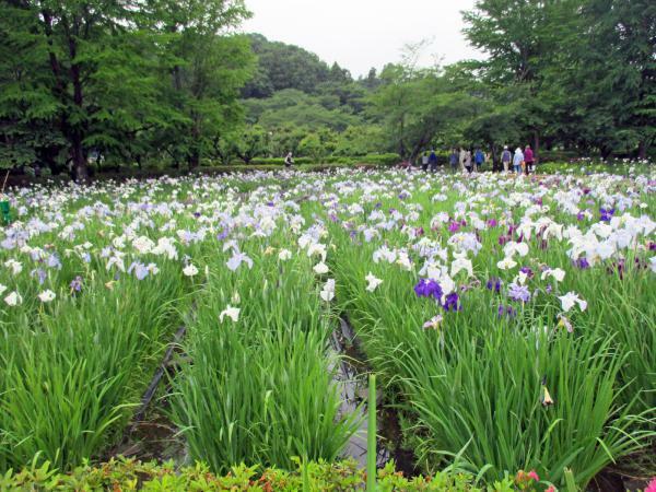 ※過去の様子