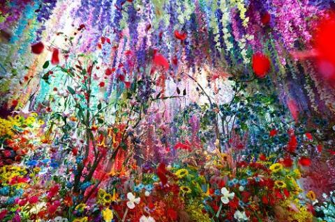 (c)mika ninagawa, Courtesy of Tomio Koyama Gallery ※展示イメージ