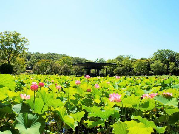 提供：万博記念公園マネジメント・パートナーズ