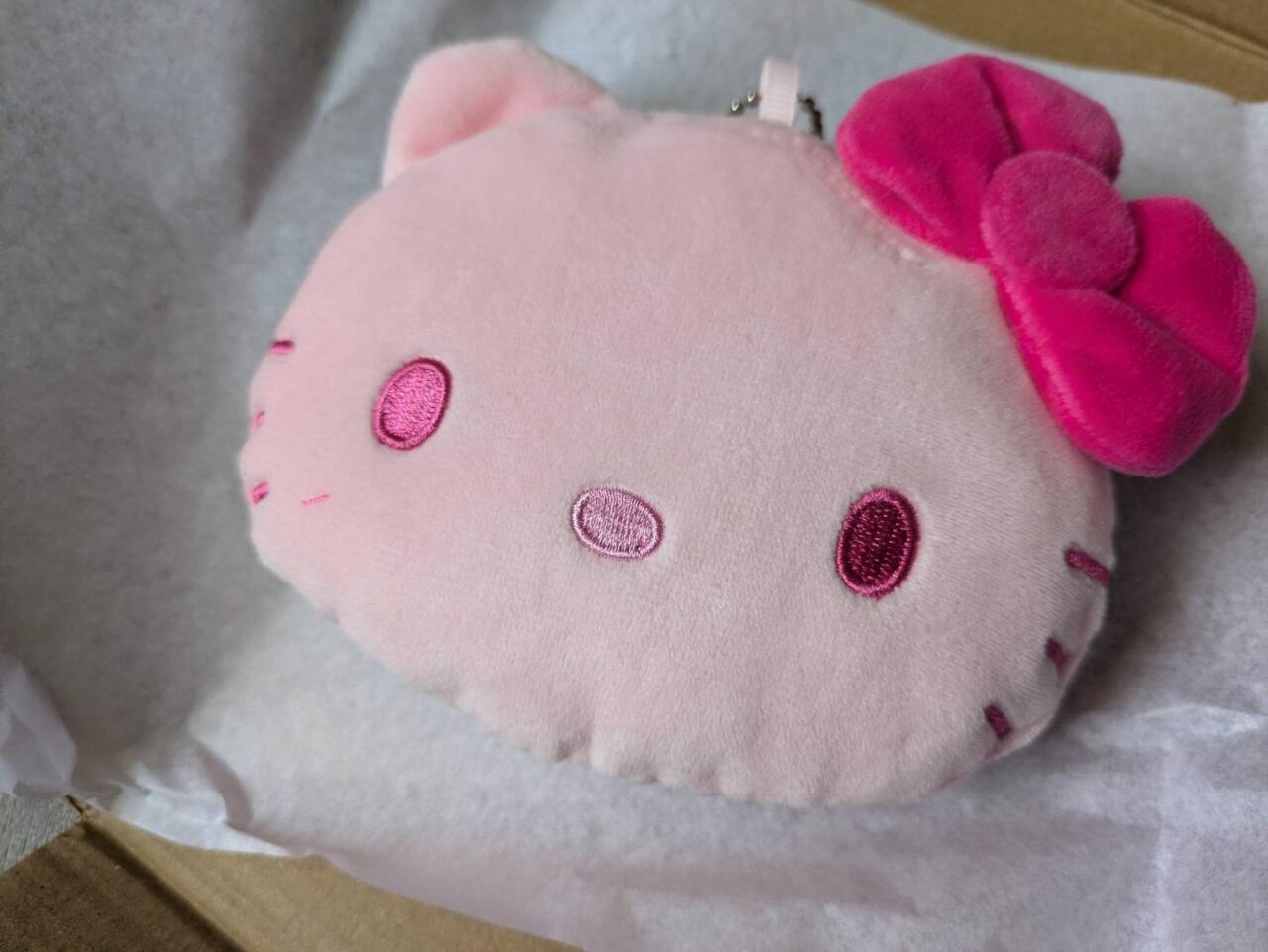付録レビュー】キティ×ピンク×ふわもち！『SPRiNG』付録のぬいポーチが