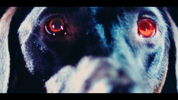 /shared/materials/8a6b8174-4327-43b1-b2c5-c25c0406a605/thumbnail