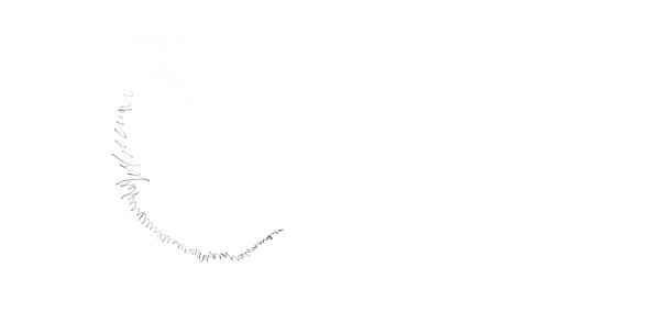 /shared/materials/8b613747-2eec-4c2c-a6da-d001f5d46b4e/thumbnail