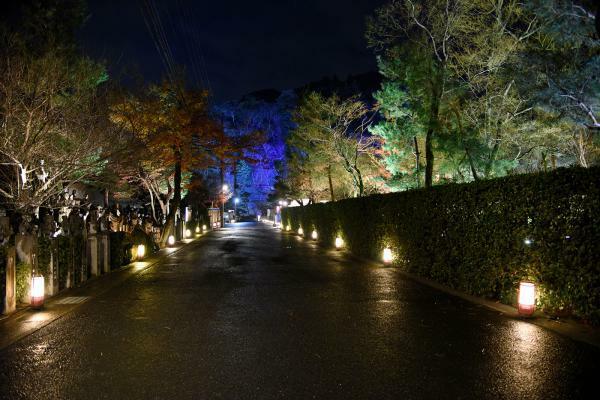 （c）京都・花灯路推進協議会事務局　灯りと花の路